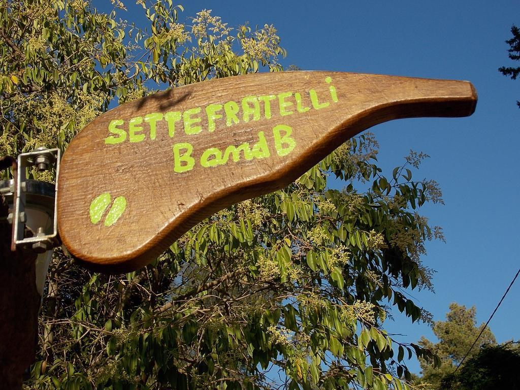 B&B Sette Fratelli San Gregorio  Екстериор снимка