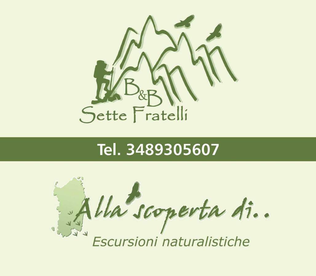 B&B Sette Fratelli San Gregorio  Екстериор снимка